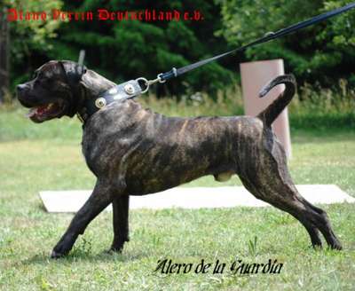 ALERO DE LA GUARDIA