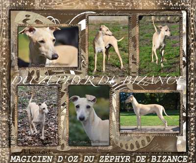 Magicien D'Oz Du Zephyr De Bizance