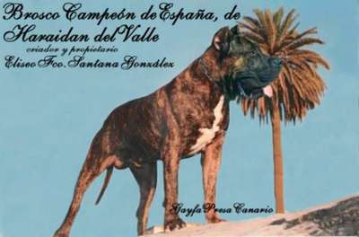 BROSCO DE HARIDIAN DEL VALLE