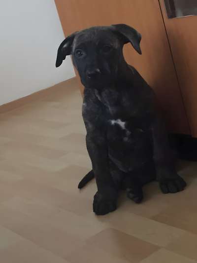 AMATA