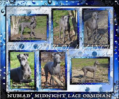 Nubiad Midnight Lace Obsidian