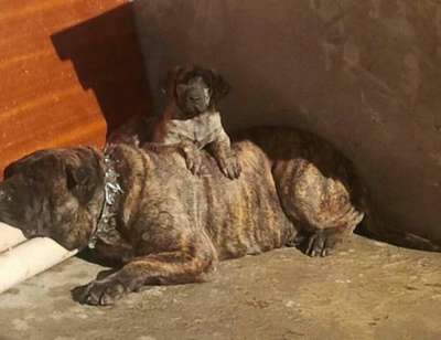 KIN DE CASA PANCHO
