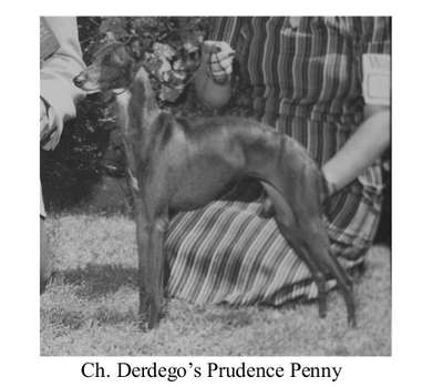 Derdego's Prudence Penny