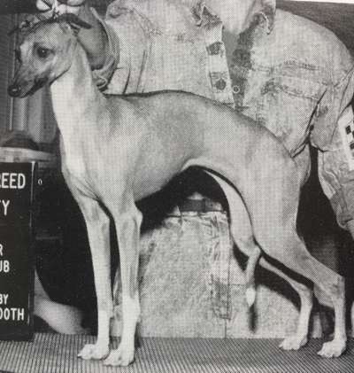 Debo Delfina Of Ferazi