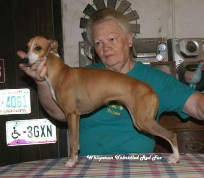 Whisperun Unbridled Red Fox