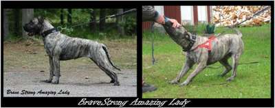 BRAVE STRONG AMAZING LADY