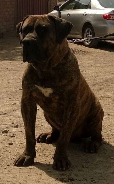 KONAN DE CASA DEL PRESA