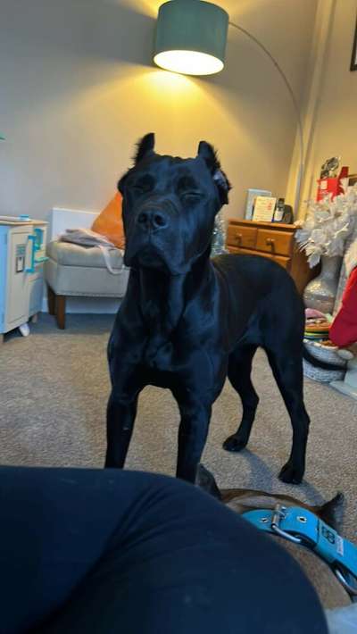 LUNA DE GORGO
