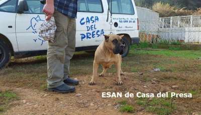 ESAN DE CASA DEL PRESA