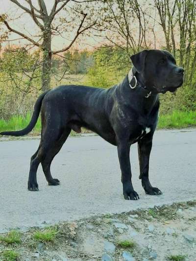 ZKY DE LA ARENA