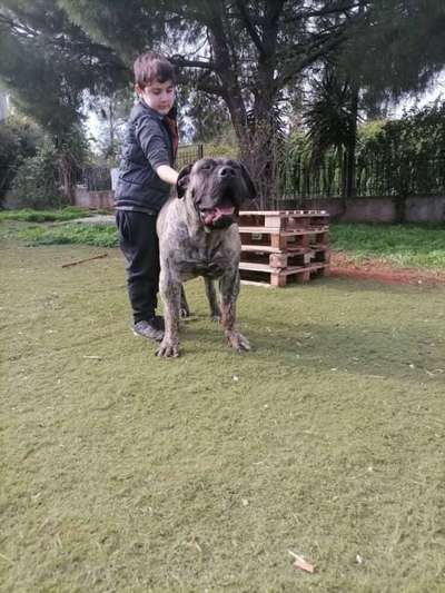 TRUCO DE SAMCOR