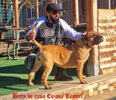 L-BETTY DE CASA COZMA KENNEL