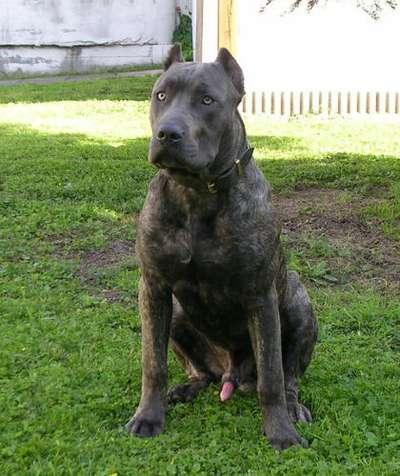 ESKO DE LA LEGION