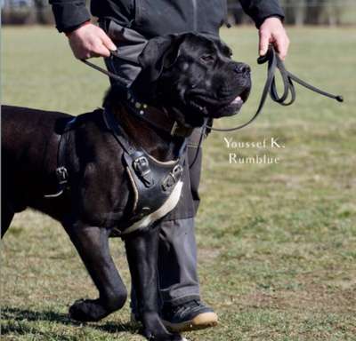 ARES LOS ASANTEMIR