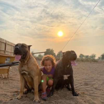 ARICO STERLING KINGSTON
