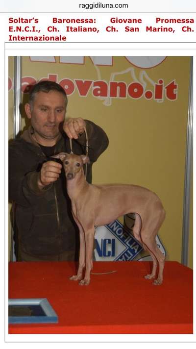 Soltar's Baronessa