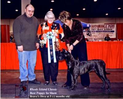 BRAVO KENNEL’S DIVA