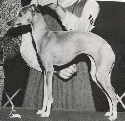 Dasa's Little Jeannie