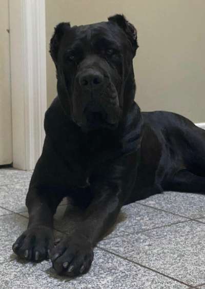 W' ONYX DE LA ARENA