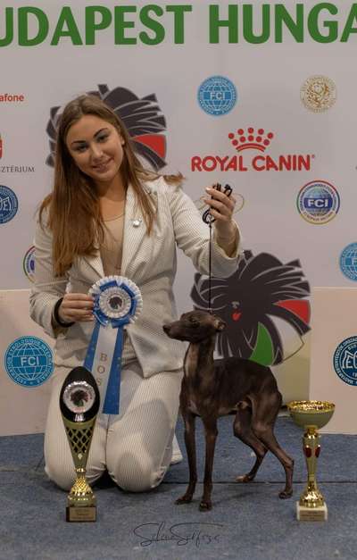 Alvyn Kevre Protettore Di Cani