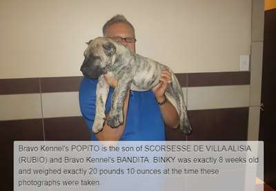 BRAVO KENNEL’S POPITO