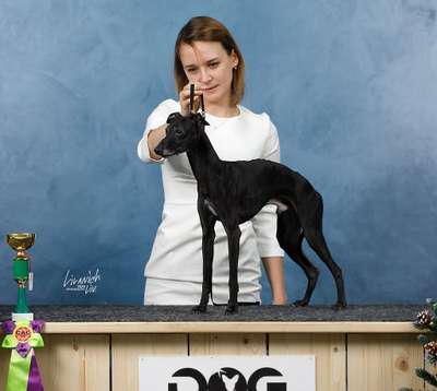Grace Haund Dominic Black