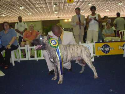 FEISAL DE LOS CARDONES
