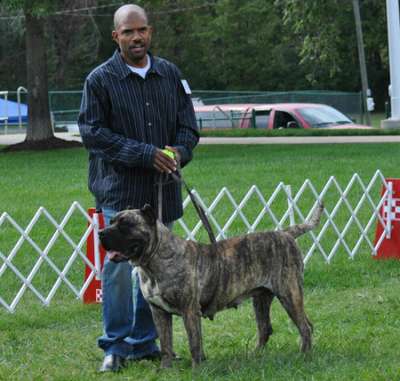 CANARIO MUNDO'S OPRAH (BELLA, LOLA)
