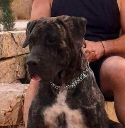URKO DE KING ZULU