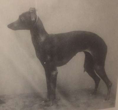Russo's Capuana Di Bennato