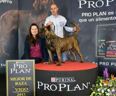 BILMA DE CRISDOCO
