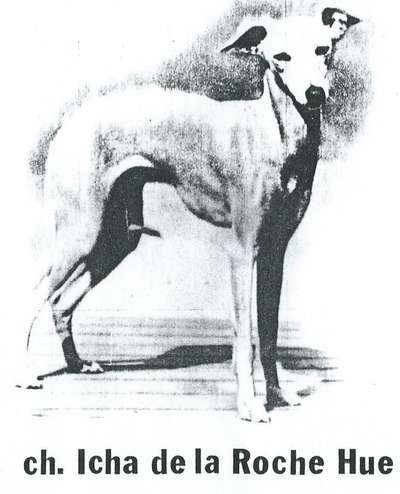 Icha De La Roche Hue