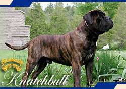 ONAN OF KNATCHBULL