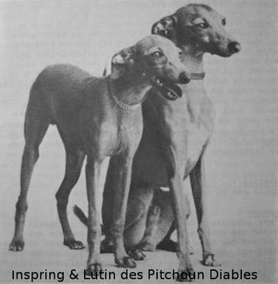 Inspring Des Pitchoun Diables