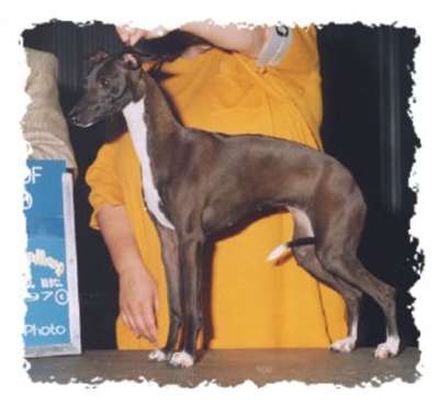 Winsome's Standing Ovation