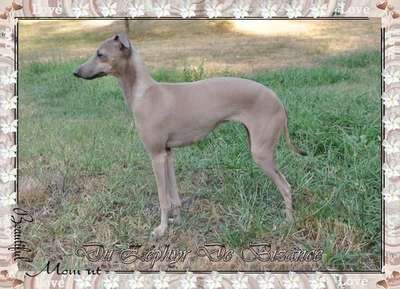Glamour Chic Des Princes De Kazan