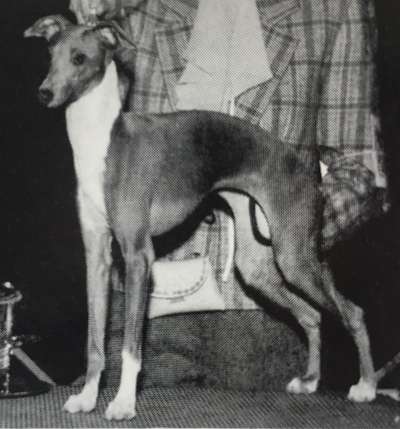 Franchesca Del Verona