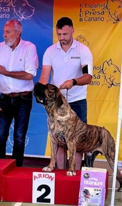 ARES DE BREVIERCAN