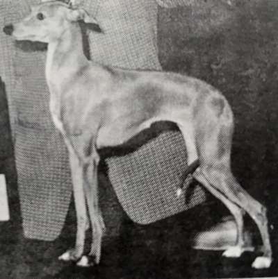 Dulcinea Di Robetti