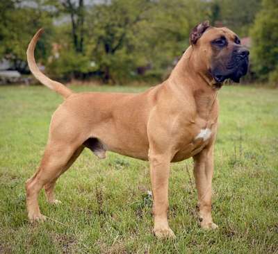 ARTUR