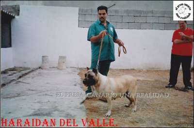 BENCHARA DE HARIDIAN DEL VALLE