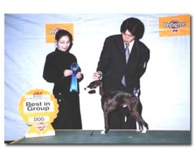 Winsome The Ideal Husband