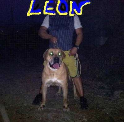 LEON L