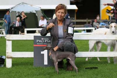 Fiefoerniek's Fieramente