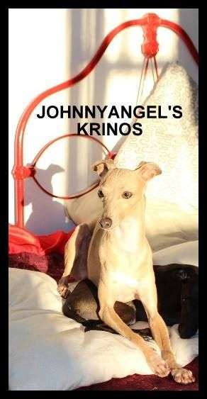 Johnnyangel's Delightful Aroma Of Krinos