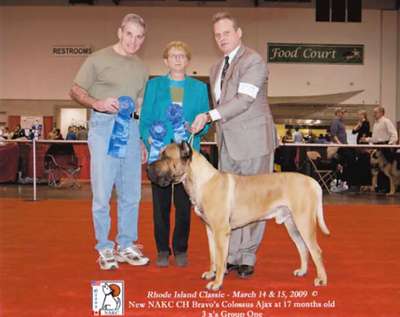 BRAVO KENNEL'S COLOSOS AJAX