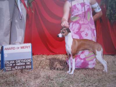 Satori Angelina Ballerina