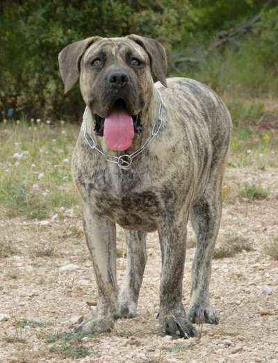 LUNA DE CANMUC