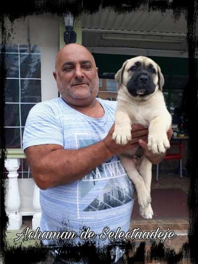ACHAMAN DE SELECTA ADEJE