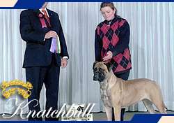 BANSTOCK ROCHELLE OF KNATCHBULL